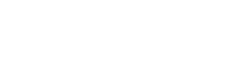 Kong Fit